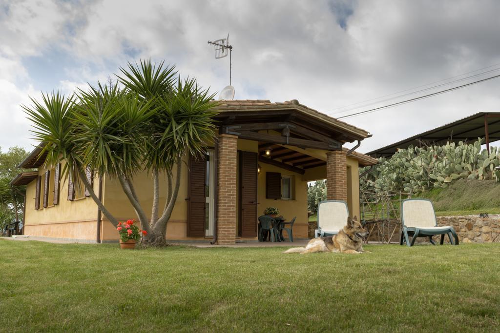 Agriturismo Cupido Montiano  Exterior photo